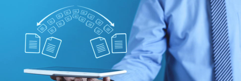 Migration und Verwaltung